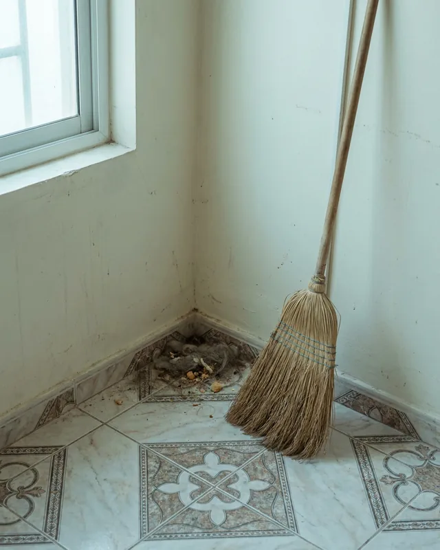 مكنسة يدوية دوارة